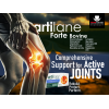 ARTILANE FORTE FOR HEALTHY JOINTS DIETARY SUPPLEMENT CITRIC FLAVOUR 10 ML X 15 BOTTLES